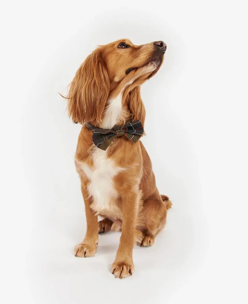 Barbour Dog Bow Tie-1